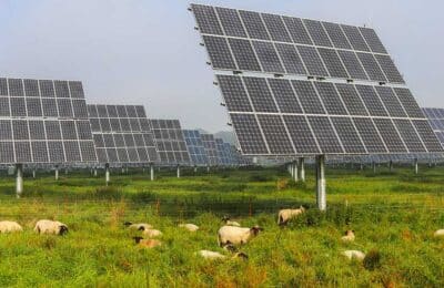 Agrivoltaïsme volière photovoltaïque Loiret