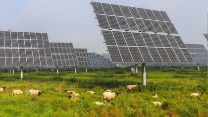 Agrivoltaïsme volière photovoltaïque Loiret