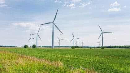 impact énergies renouvelables biodiversité