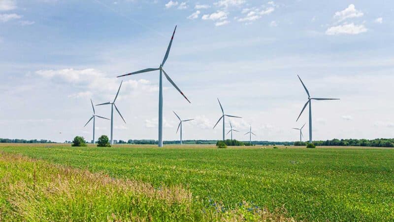 impact énergies renouvelables biodiversité