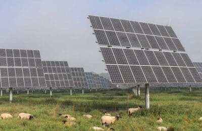 agrivoltaïsme loi simplification CDPENAF