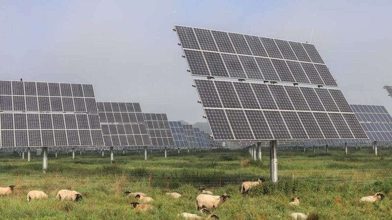 agrivoltaïsme loi simplification CDPENAF