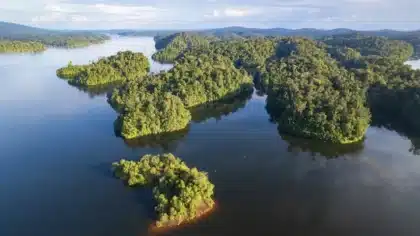 Une installation de batteries de stockage d'électricité, technologie au cœur du nouveau guichet lancé par la CRE en Guyane.