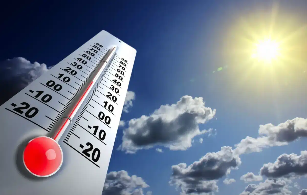 prix négatif a cause de la canicule