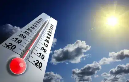 prix négatif a cause de la canicule
