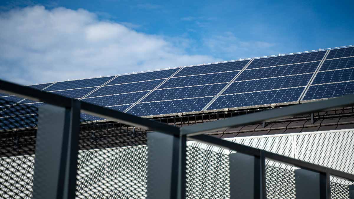 canicule de juin 2026 réseau electrique