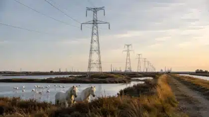 Projet pylone electrique en camargue