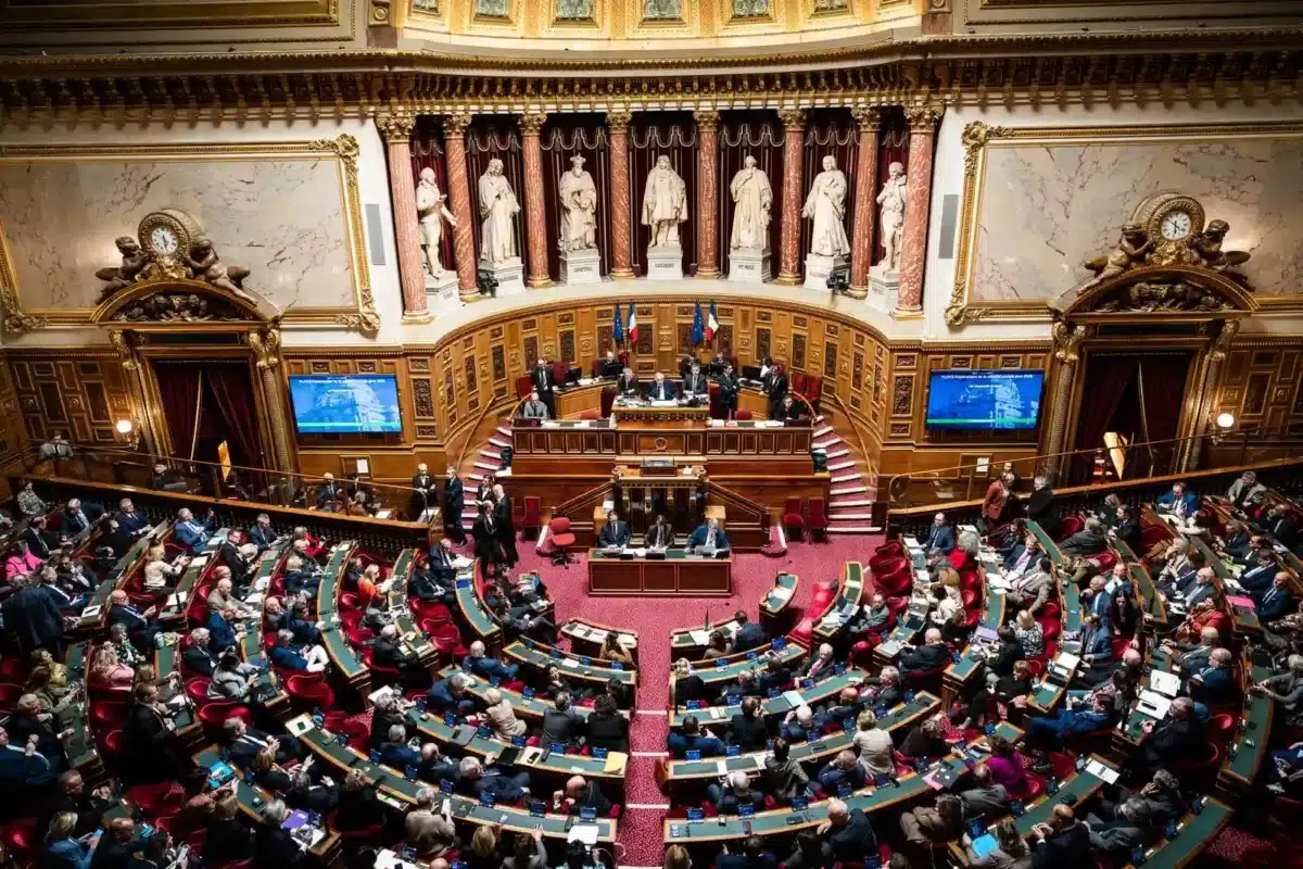 Senat