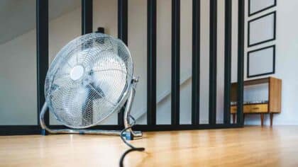 Canicule et prix négatifs
