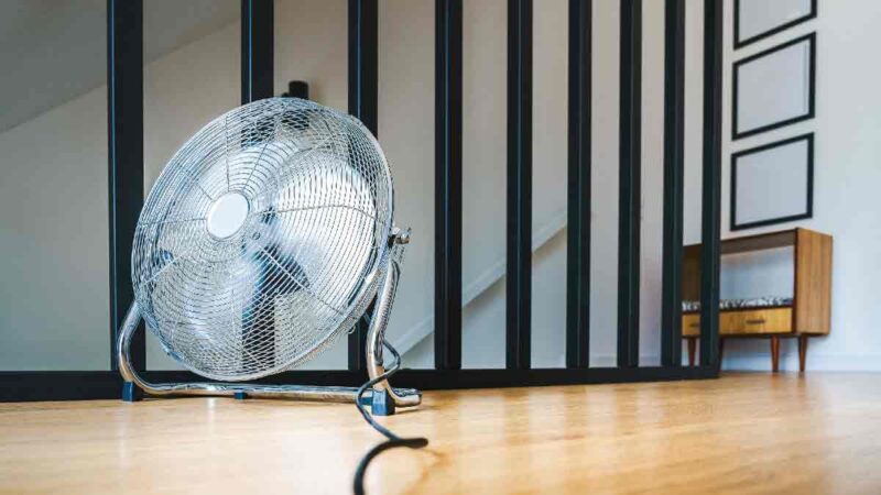 Canicule et prix négatifs