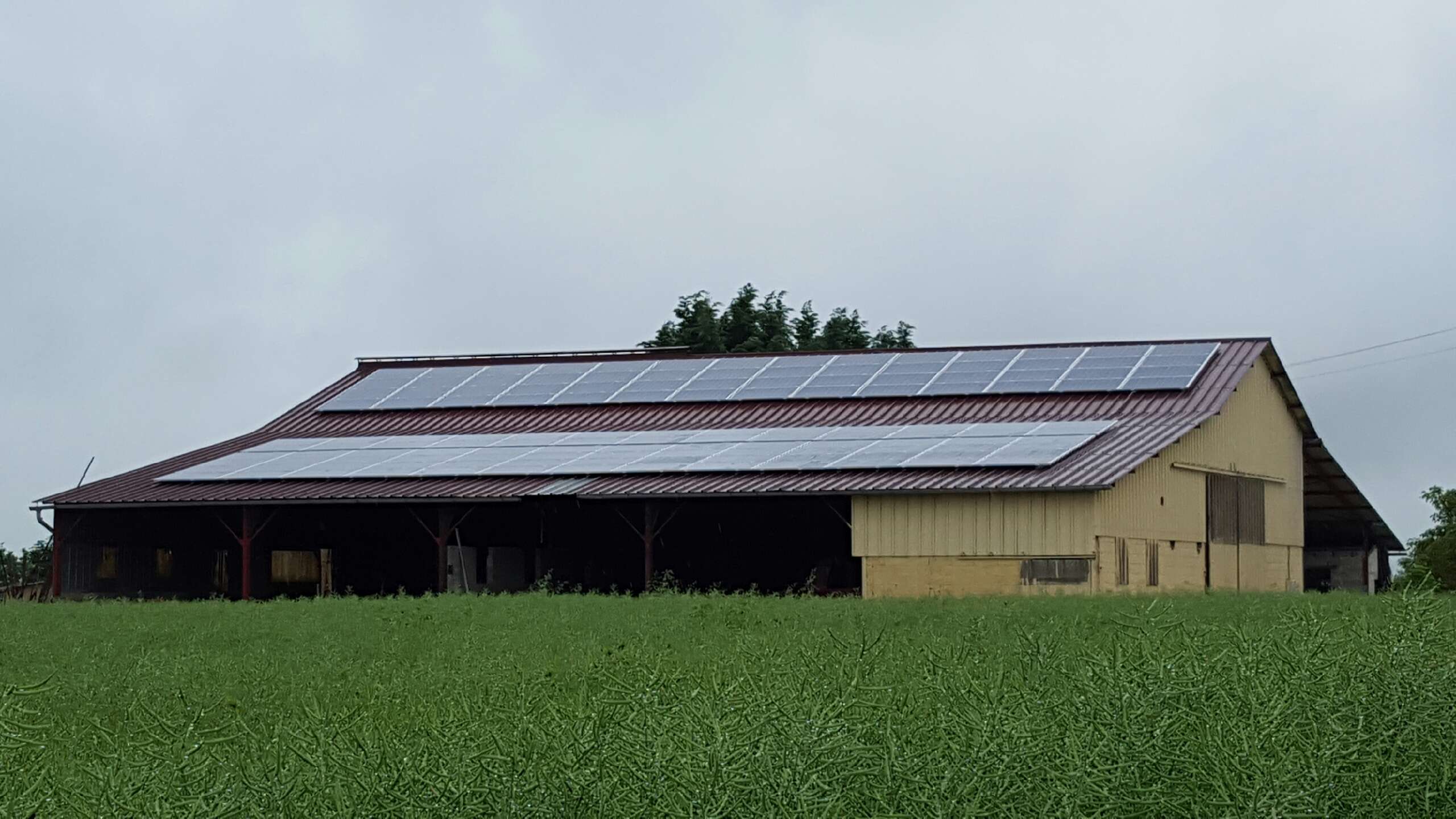 Bâtiment agricole 36kWc Pierrecourt [Vente Totale SolarEdge/Bi-verre Solarwatt] (70)