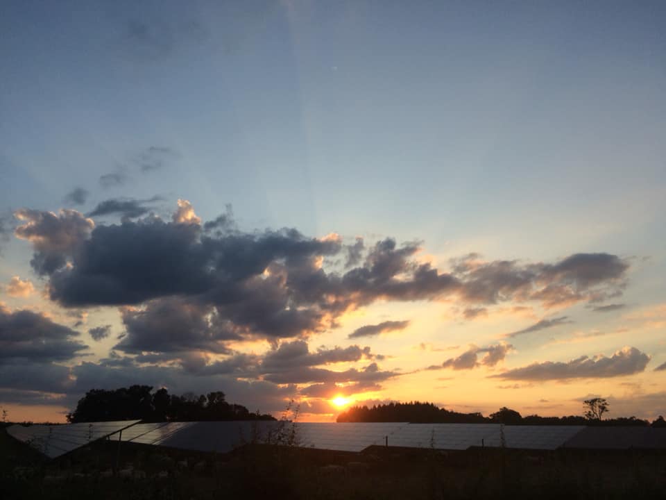 agrivoltaisme d'élevage