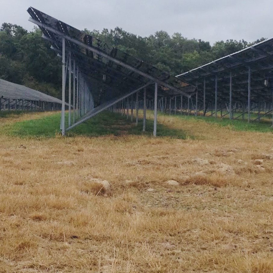Agrivoltaïsme définition 