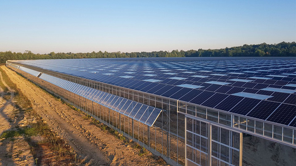 Serres agricoles photovoltaïques