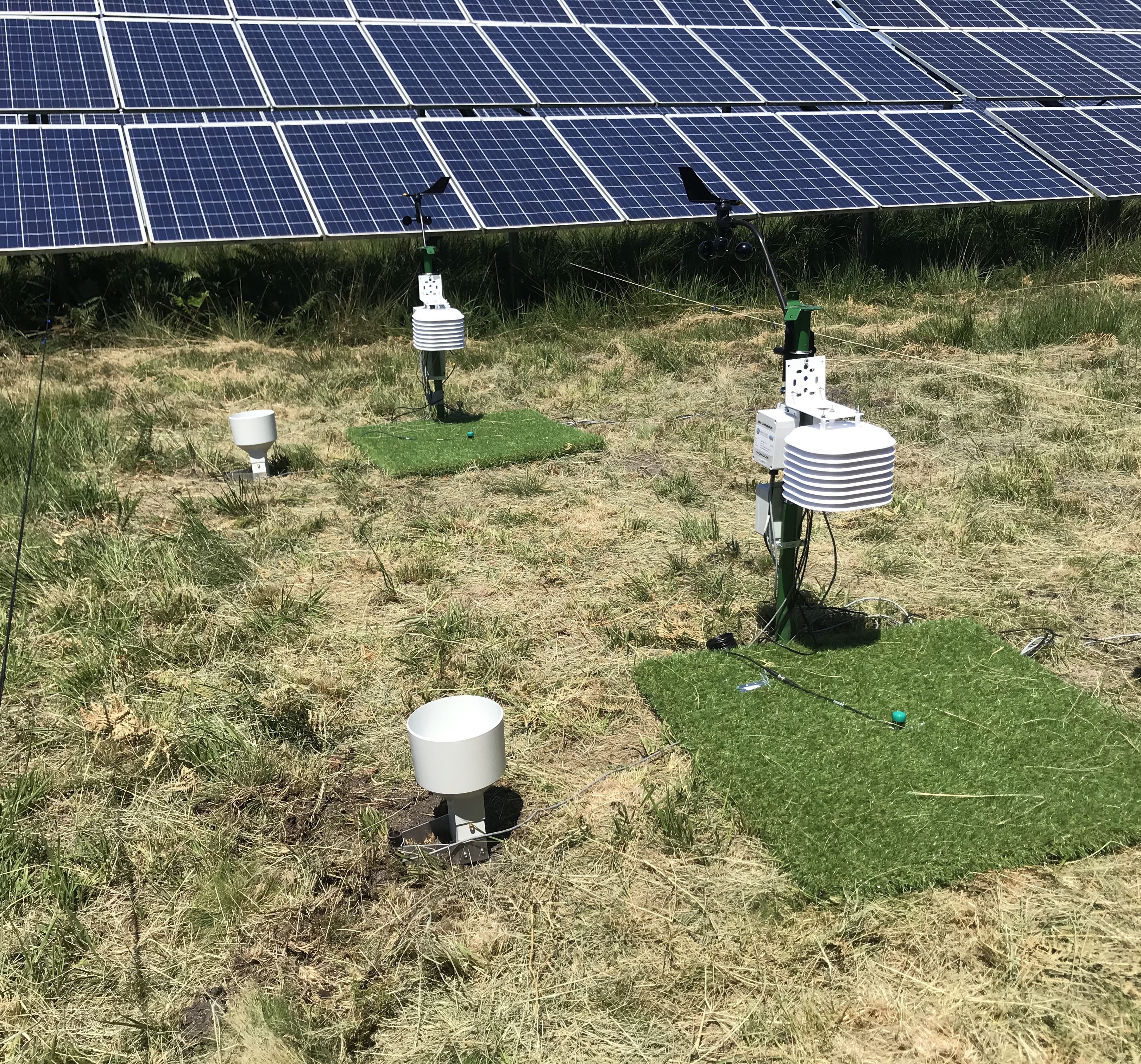 démonstrateur agrivoltaïsme mouton 