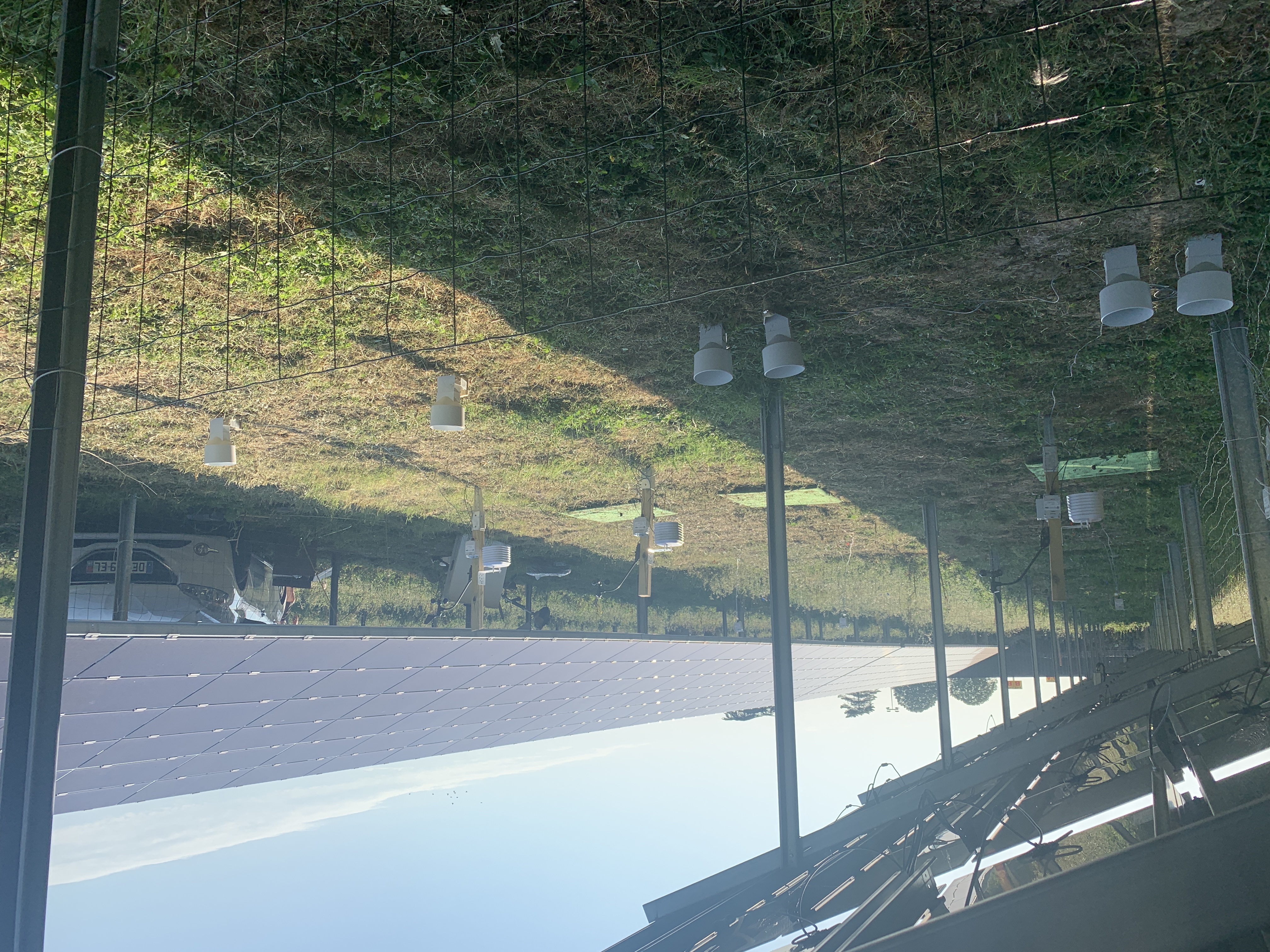 démonstrateur agrivoltaïque ovin Gaillac Tarn