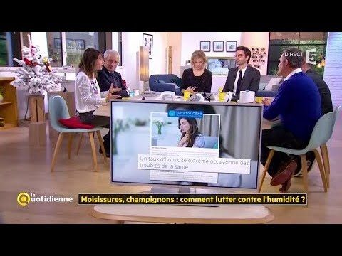 inverseur de polarité humidité ATE 