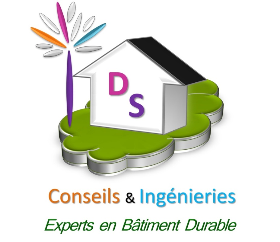 DS Conseils et Ingénieries