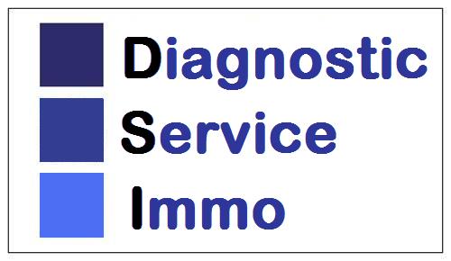 Diagnostic Service Immobilier (DSI)