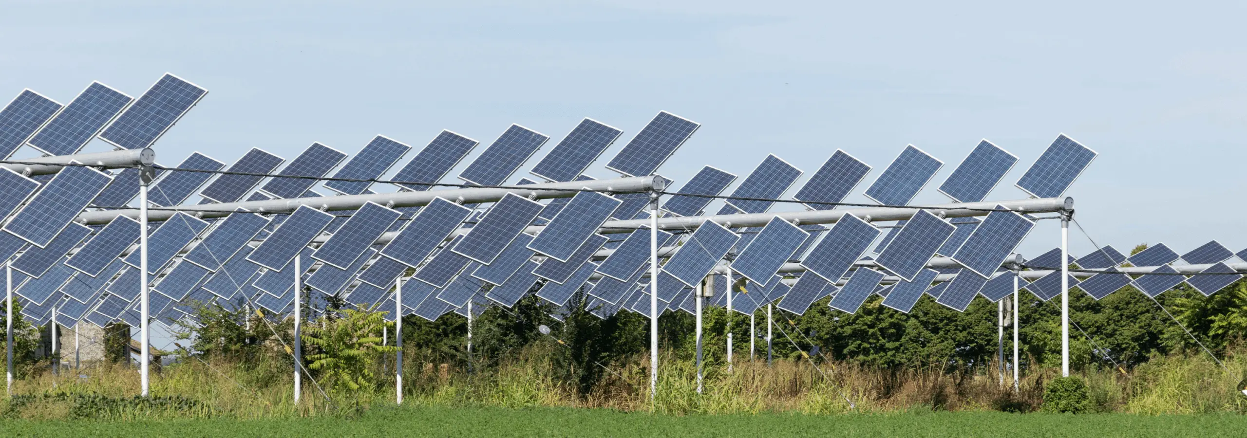 panneau solaire agrivoltaisme