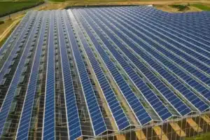 serre solaire agricole
